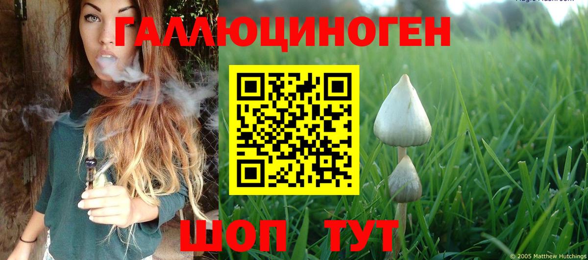 Псилоцибиновые грибы Magic Shrooms  закладки  Лянтор  Вход с VPN 
